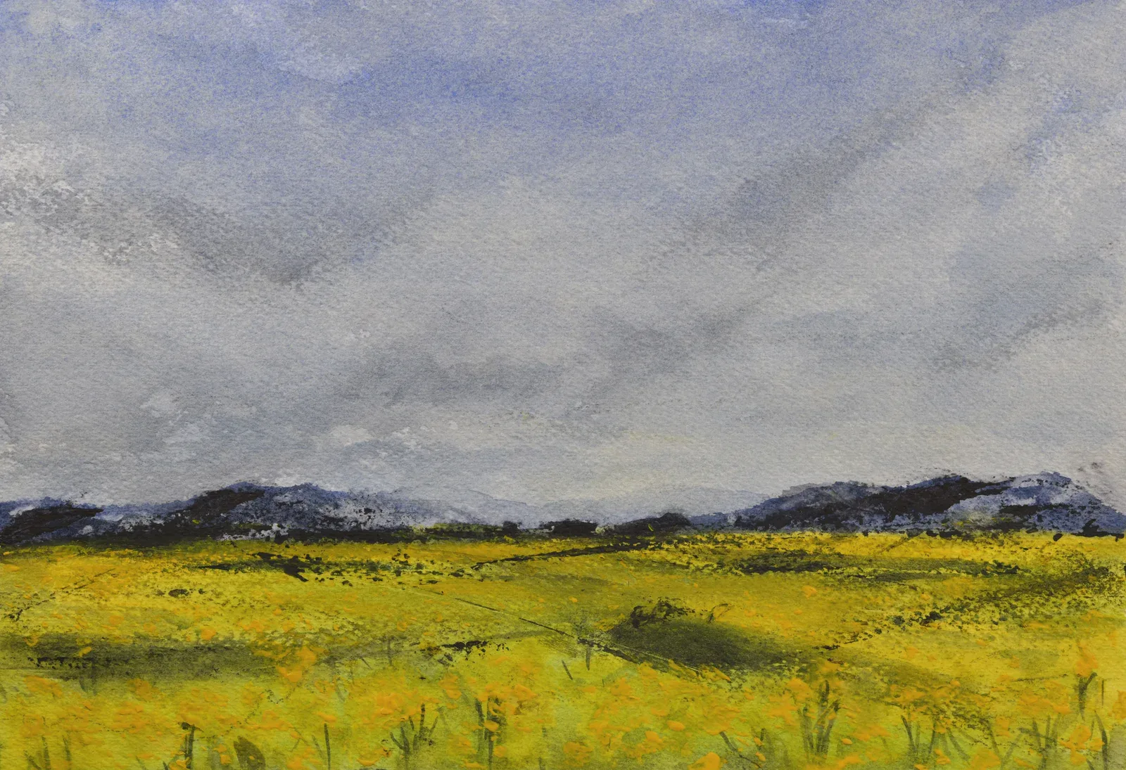 Canola Fields, a watercolor artwork by Philip Hossu.